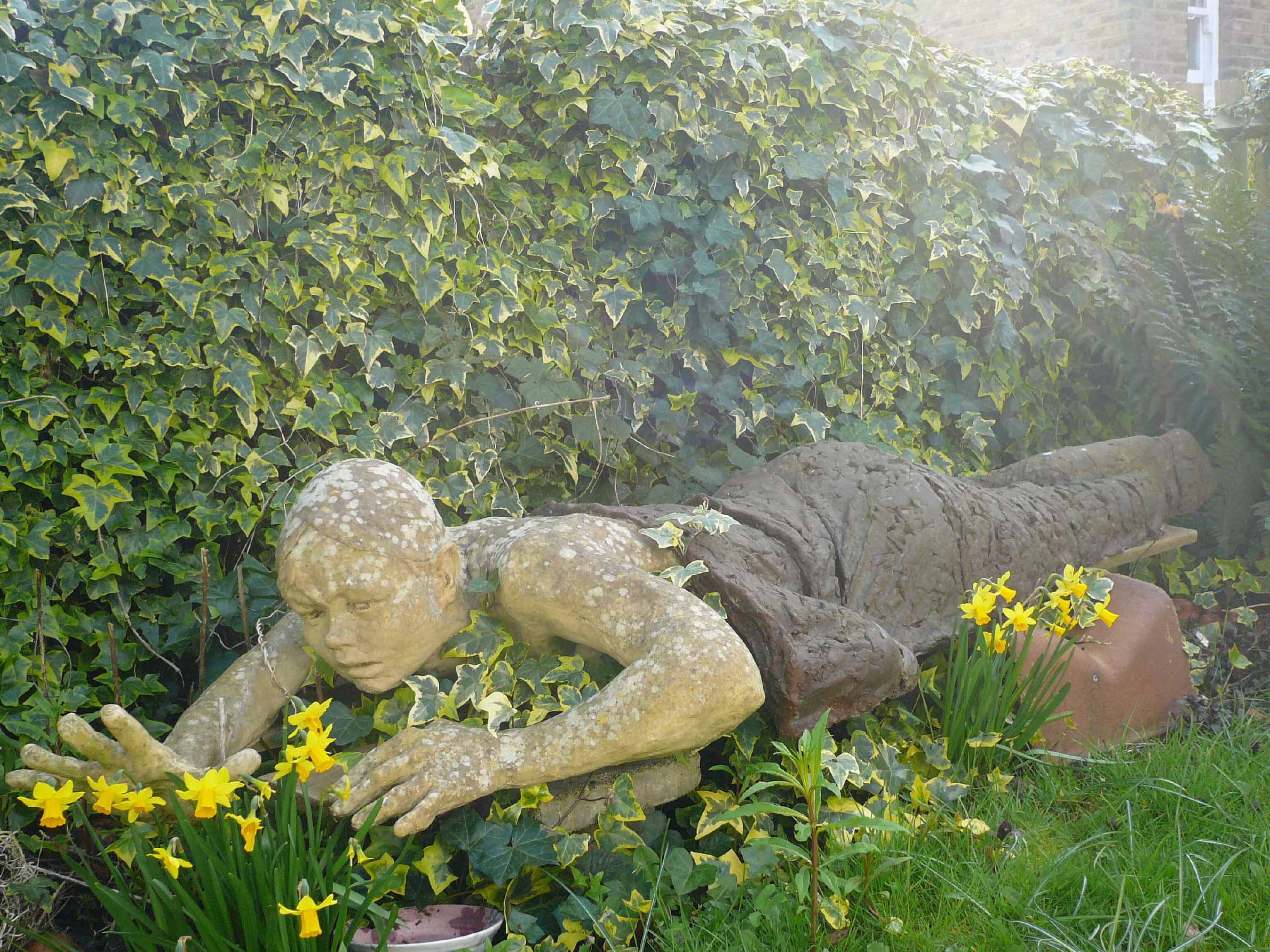 Emerging by Caroline Mayow